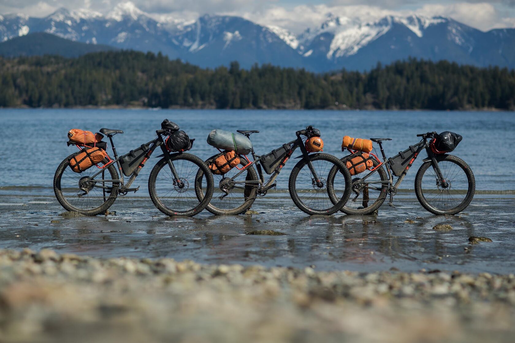 Explore the World on Two Wheels with Quiktripple: Elevating Bicycle Tourism and Travel 